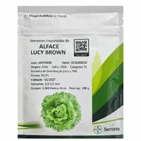 Alface Americana Lucy Brown 5 mil sementes - imagem 1