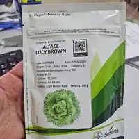 Alface Americana Lucy Brown 5 mil sementes - imagem 4