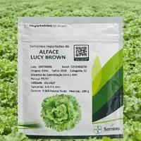 Alface Americana Lucy Brown 5 mil sementes - imagem 2