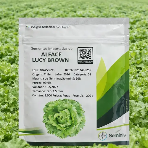Alface Americana Lucy Brown 5 mil sementes