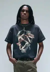 Camiseta EGHO Boxy Serpents (Faded Black) - imagem 4