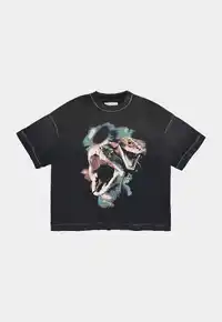 Camiseta EGHO Boxy Serpents (Faded Black) - imagem 1