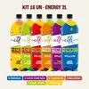 Kit 16un - Pack Energy 2L