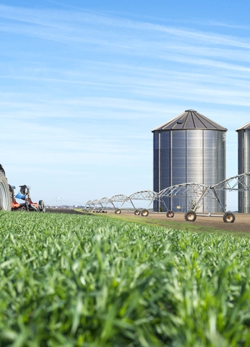 Categoria Agronegócio