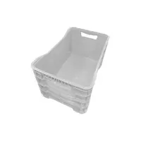 Caixa Hortifruti Lar Plásticos: Frescor, Organização e Durabilidade - imagem 3