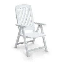 Poltrona Reclinável Diamante Lar Plásticos: Conforto e Versatilidade - imagem 1