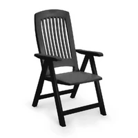 Poltrona Reclinável Diamante Lar Plásticos: Conforto e Versatilidade - imagem 2