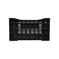 Caixa Hortifruti Lar Plásticos: Frescor, Organização e Durabilidade - imagem 2