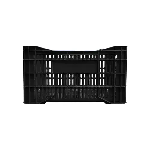 Caixa Hortifruti Vazada