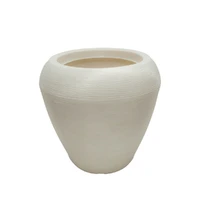 Vaso de Polietileno Lar Plásticos: Leveza, Durabilidade e Design - imagem 1