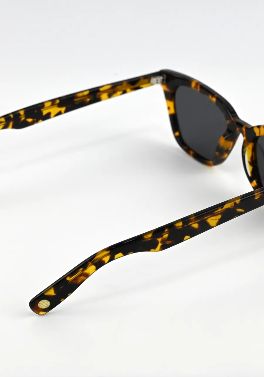 Óculos ITG LD1116 C2