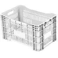 Caixa Plástica Agrícola Vazada - 20 KG 50 litros - BRANCA - imagem 1