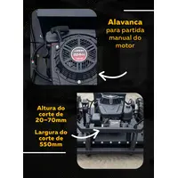 Cortador de Grama Bs-550D-T - imagem 4
