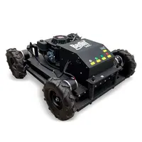 Cortador de Grama Bs-550D-T - imagem 1