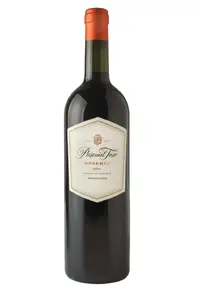 Vinho Argentino Pascual Toso Reserva Malbec 750ml  - imagem 1