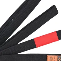Faixa de Jiu Jitsu Premium Ponteira Vermelho - imagem 1