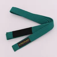 Faixa Jiu Jitsu Infantil Verde - imagem 2