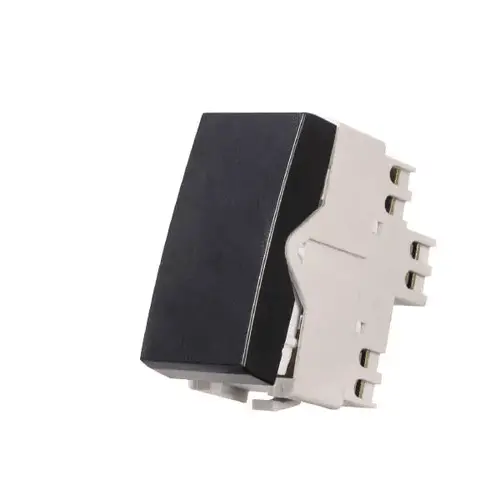 Módulo interruptor paralelo 10A 250V– Ebony