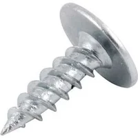 Parafuso Agulha Drywall  - imagem 1