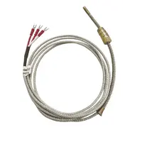 Termoelemento  PT100 6.0mm-3M  - imagem 1
