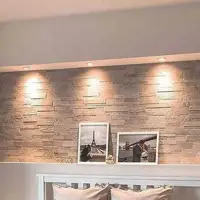 Lâmpada LED PAR20 4,8W 6.500K Blumenau - imagem 2