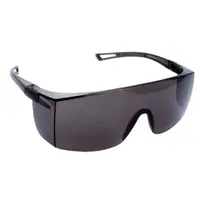 Óculos Sky Fume  - Delta Plus  - imagem 1