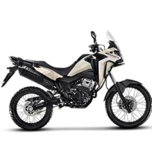 categoria XRE 300
