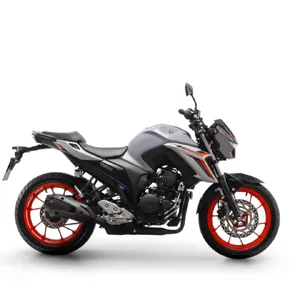 categoria FZ 25