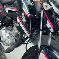 Kit Fan 2025 Mod linhas Rosa e glitter - imagem 3