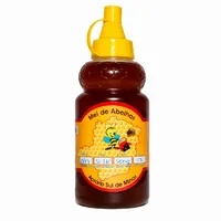 Bisnaga de Mel Silvestre Puro | Comprar Lojinha Uai - imagem 1