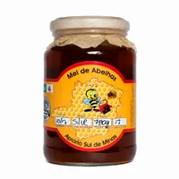 Mel Silvestre Puro 780g | Comprar Lojinha Uai - imagem 1
