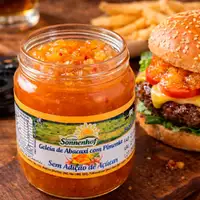 Geleia de Abacaxi com Pimenta Diet Sem Açúcar Fazenda Sonnenhof | Comprar na Lojinha Uai - imagem 2