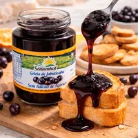 Geleia de Jabuticaba Diet Sem Açúcar 270g - Fazenda Sonnenhof | Comprar na Lojinha Uai - imagem 2