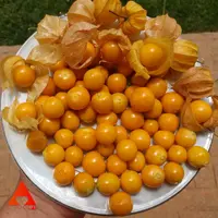 Geleia de Physalis Diet Sem Açúcar 270g - Fazenda Sonnenhof | Comprar na Lojinha Uai - imagem 4