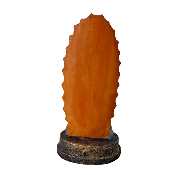 Imagem de Nossa Senhora de Guadalupe em Resina - 9 cm