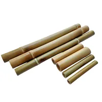 Kit Bambuterapia para Massagem Modeladora Corporal e Facial | Comprar na Lojinha Uai - imagem 1
