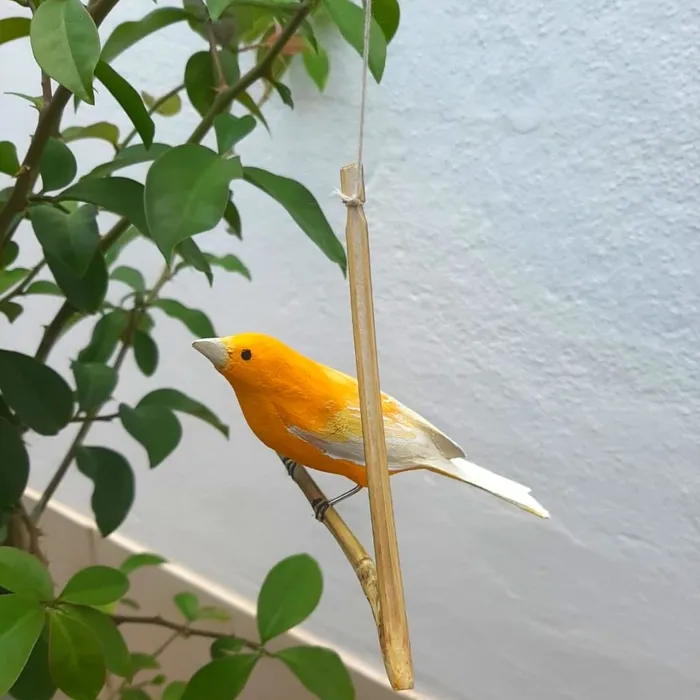 Pássaro de Madeira Canário do Reino | Comprar na Lojinha Uai