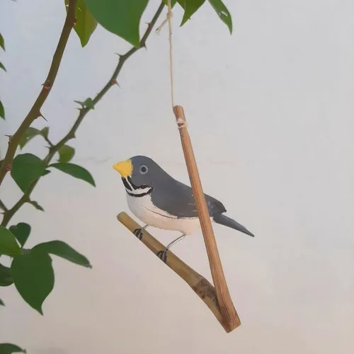 Pássaro de Madeira Coleirinho