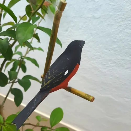 Pássaro de Madeira Curió