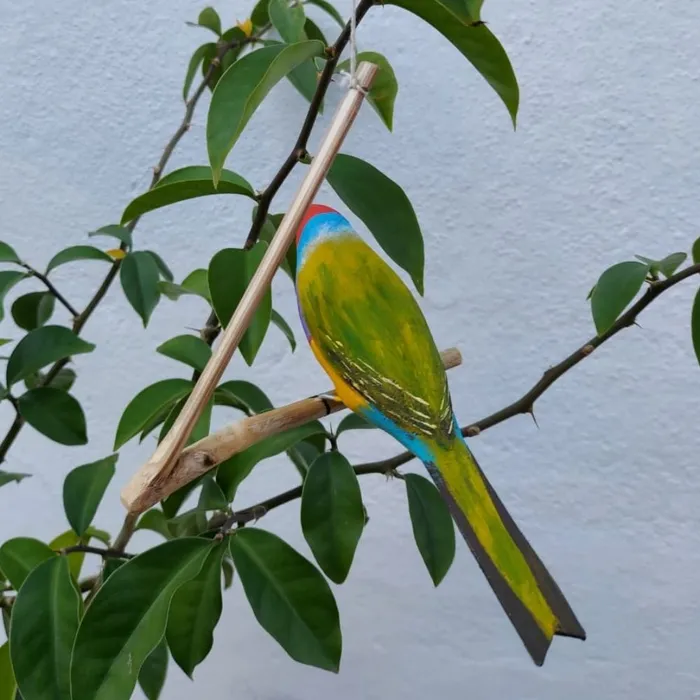 Pássaro de Madeira Diamante de Gould | Comprar na Lojinha Uai