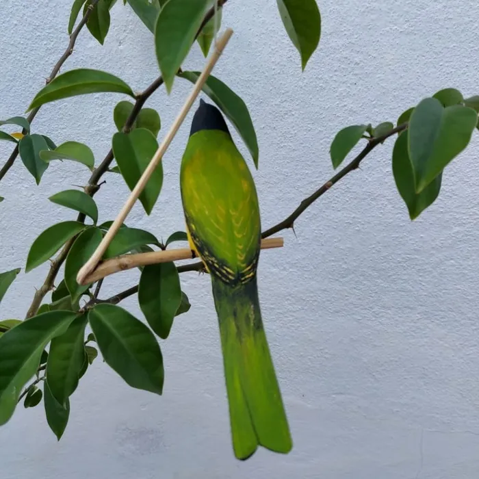 Pássaro de Madeira Sabiá Pimenta | Comprar na Lojinha Uai