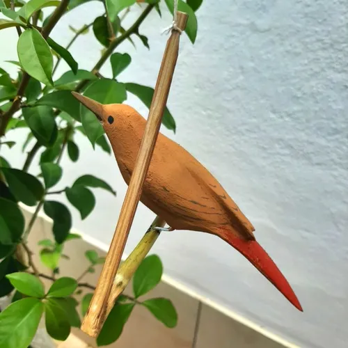 Pássaro de Madeira João de Barro