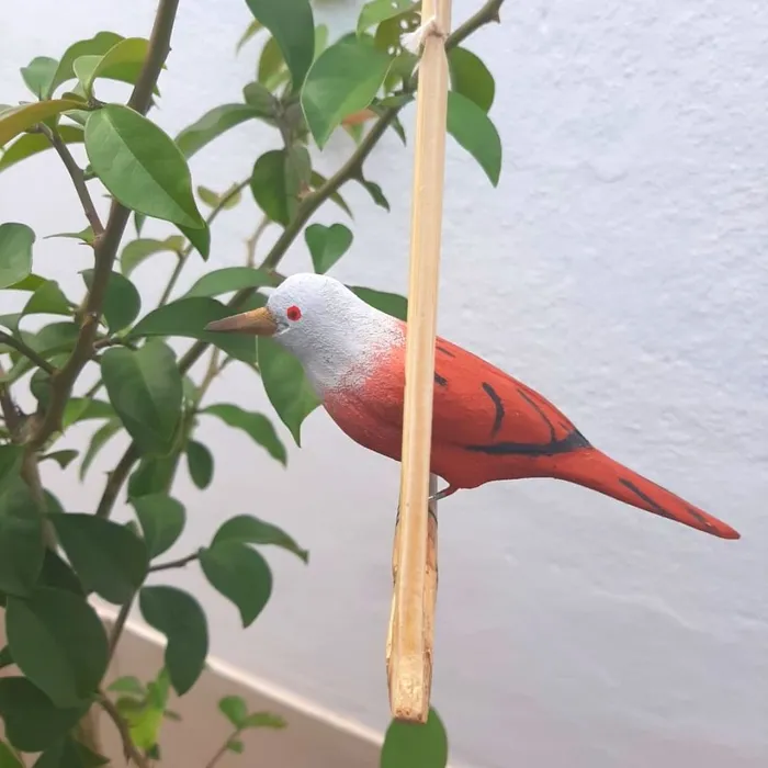 Pássaro de Madeira Rolinha | Comprar na Lojinha Uai