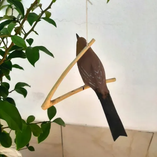 Pássaro de Madeira Rouxinol