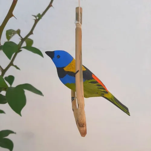 Pássaro de Madeira Saíra Sete Cores