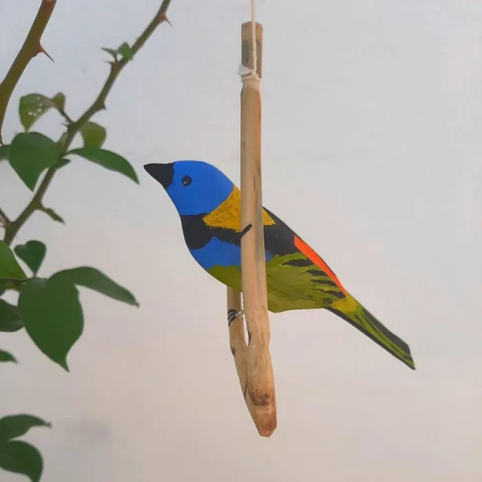 Pássaro de Madeira Saíra Sete Cores | Comprar na Lojinha Uai