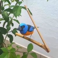 Pássaro de Madeira Sanhaço Papa-Laranja | Comprar na Lojinha Uai - imagem 2