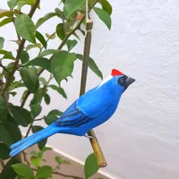 Pássaro de Madeira Sanhaçu-Frade | Comprar na Lojinha Uai - imagem 1