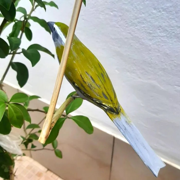 Pássaro de Madeira Trinca Ferro Pixarro | Comprar na Lojinha Uai