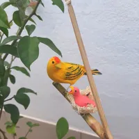 Pássaro de Madeira Canário da Terra e Filhote - imagem 1